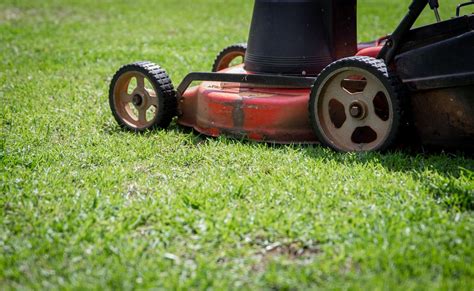 mexican lawnmower|Urban Dictionary: Mexican lawnmower.